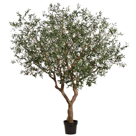 Earthflora Mediterranean Olive And Fig Artificial Trees 8 Feet Olive