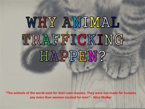 Animal Trafficking