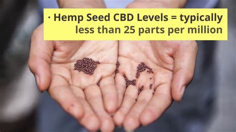 Hemp Cbd Oil Vs Hemp Seed Oil Youtube