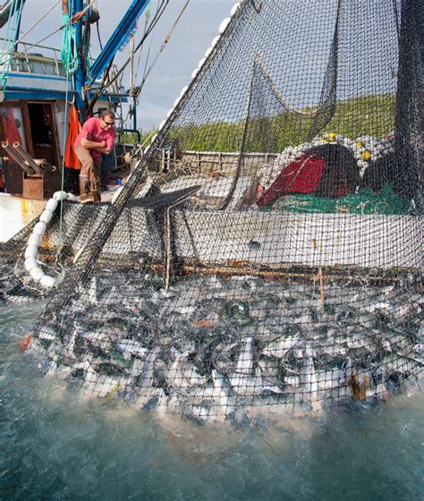 Alaska Commercial Salmon Fishing Joshua Roper Photography Boise