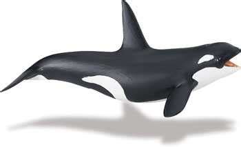 Orca Killer Whale Toy Miniature Adult II at Animal World®