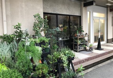 大阪で、気になっていたお花屋さんに行ってきました。 コラム一覧 Gui ～flower Design～