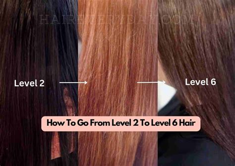 How To Go From Level 2 To Level 6 Hair | Bleaching Dark Hair To Light ...