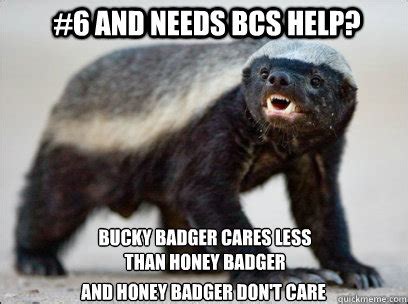 Honey Badger memes | quickmeme