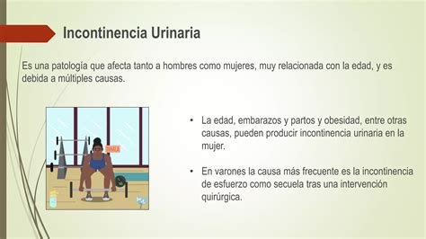 Incontinencia Urinariapptx