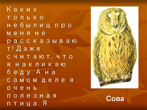 Птицы для дошкольников - online presentation