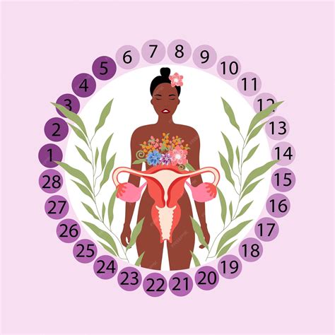 Premium Vector | Stages of the menstrual cycle with woman and flowers