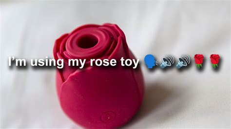 Im Using My Rose Toy Know Your Meme