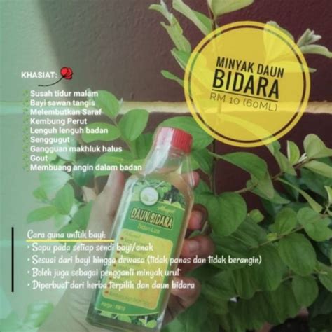 Minyak Daun Bidara Bidan Liza Ml Free Lazada