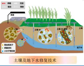 土壤与地下水污染修复技术团队