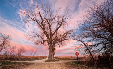 Take These 10 Country Roads In Iowa For An Unforgettable Scenic Drive ...
