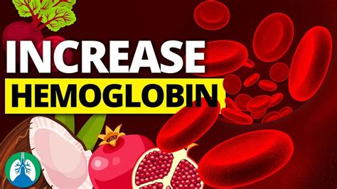 Rapid Hemoglobin Boost How To Increase Levels Quickly And Safely By