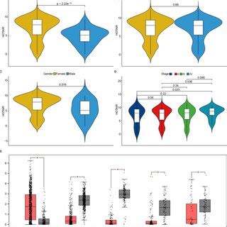 Differences In The Expression Level Of Hotair In Different Samples A