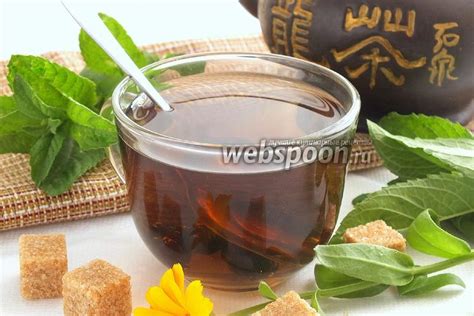 Мятный чай с сушёной вишней рецепт с фото, как приготовить на Webspoon.ru