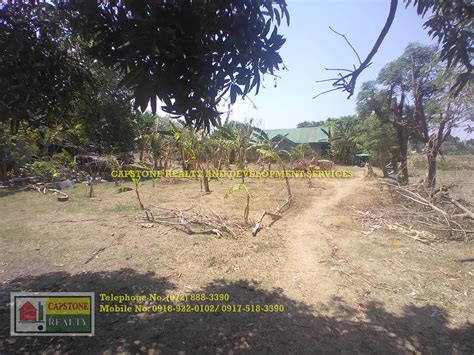 Titled Residential Lot For Sale In Bacnotan La Union Capstone Realty