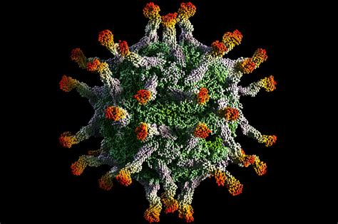 Viruses Structure Replication And Diseases