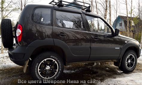 Шевроле Нива цвет Графит 385 зелено-коричневый | Авто