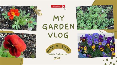 Week 2 Of Gardening 2023 Gardening Vlog Weekly Garden Show