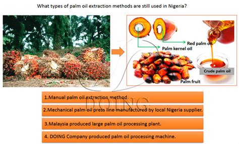 nigeria  palm oil extraction methods   featuresindustry