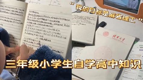 自学成才！三年级小学生自学高中知识，两年时间学完小学初中 高中 小学 小学生 新浪新闻