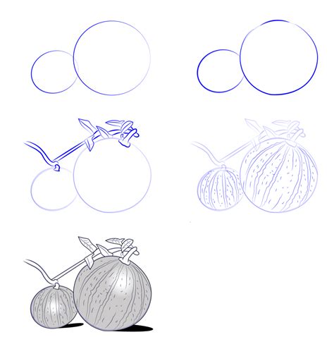 28+ Easy and Beautiful Watermelon Drawing Ideas - Drawing Photos