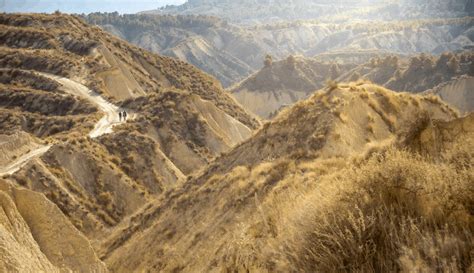 El Reglamento sobre la Restauración de la Naturaleza está un paso más