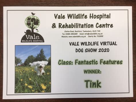Vale Wildlife Hospital & Rehabilitation Centre - Home | Facebook