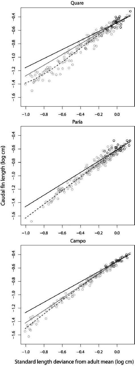 Ontogenetic And Adult Static Allometry Between Caudal Fin Length And