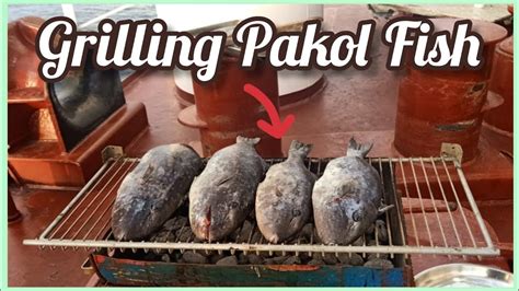 Grilled Pakol Fish - YouTube