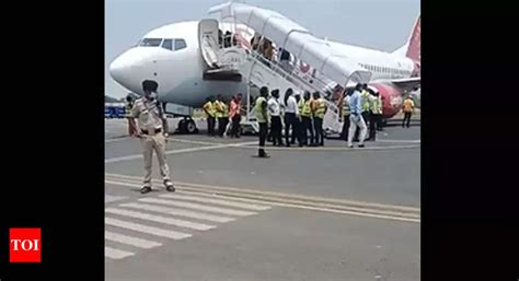 Patna Bird Hit Delhi Bound Spicejet Flight Returns To Patna India