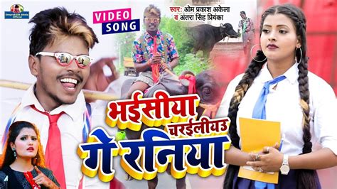 Video Om Prakash AKela Antra Singh Priyanka Hit Song भईसय