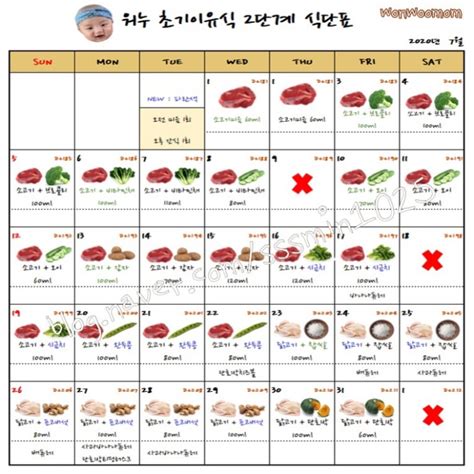 이유식 기록 2 워누 초기이유식 2단계 식단표 및 기록 초기이유식 식단표 네이버 블로그