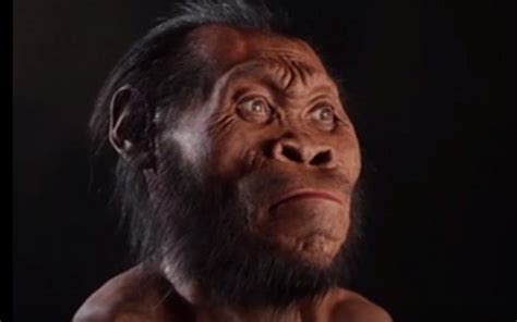 Remains Of New Human Species Found In South Africa Cave The Times Of