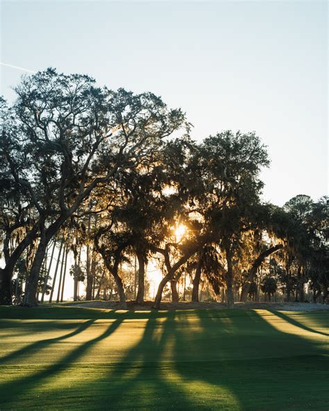 ocean forest golf club 1