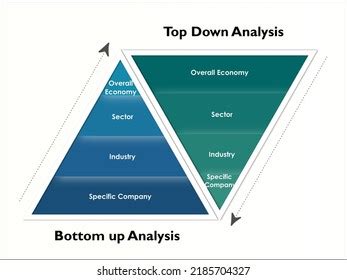 Top Down Fundamental Analysis Bottom Fundamental Stock Vector Royalty