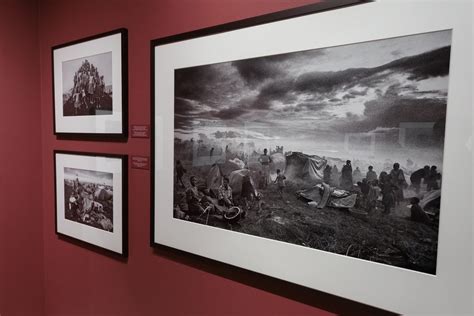 Ultimi Giorni Per Visitare La Mostra Sebasti O Salgado Exodus