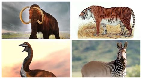 Top Extinct Animals Being Brought Back To Life Youtube