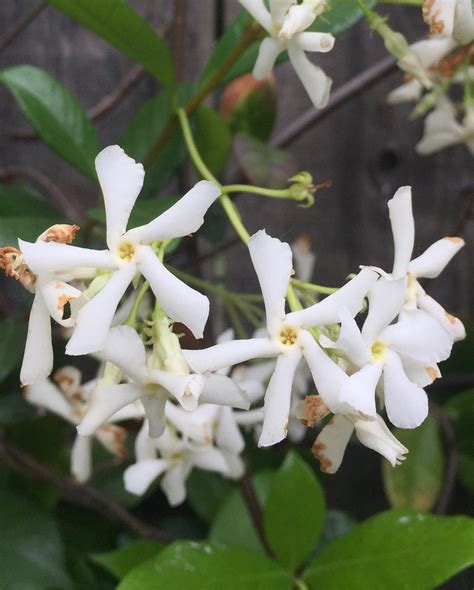 Two-factor authentication will soon be added to gizmos login screens 19