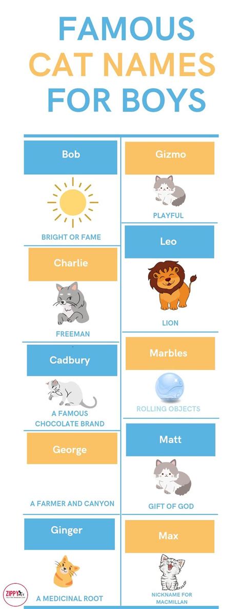 Famous Boy Cat Names Most Popular Cat Name Male Boy Cat Names Cat