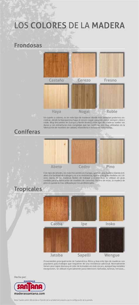 Infograf A Los Colores De La Madera Colores De Tintas De Madera