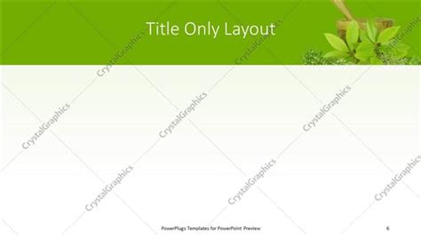 Premium Template For PowerPoint Google Slides 15895