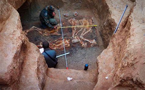 Arque Logos Han Encontrado Esqueletos De Humanos Gigantes Que Miden M S