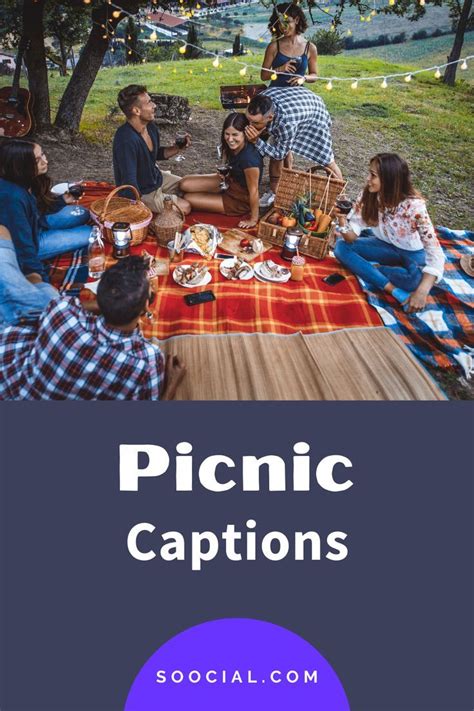 50 Best Picnic Captions And Quotes For Instagram In 2023 Artofit