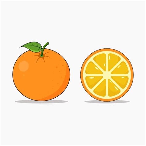 Ilustração em vetor de fruta laranja Vetor Premium