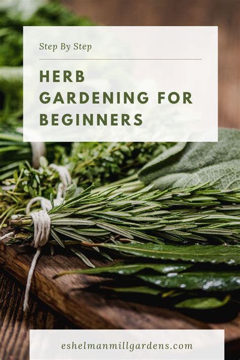 Herb Gardening | Herbs, Herb garden, Gardening for beginners