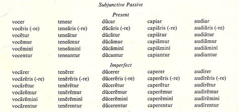 Subjunctive Mood — Latin for Rabbits