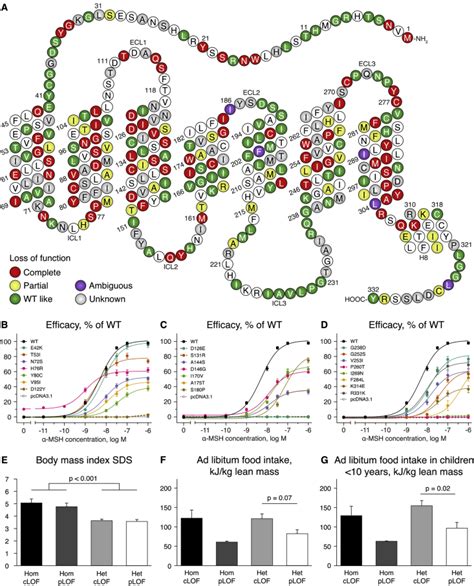 Evaluation Of A Melanocortin 4 Receptor Mc4r Agonist Setmelanotide In Mc4r Deficiency