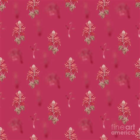 Naked Flowering Erythrina Botanical Seamless Pattern In Viva Magenta N