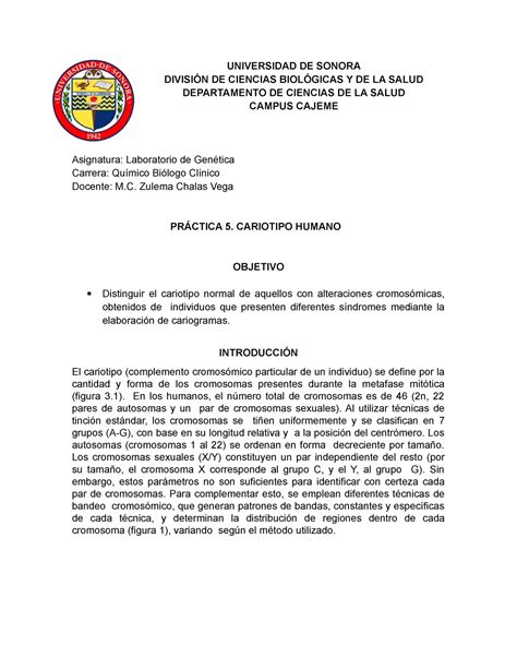 Práctica 5 Cariotipo humano UNIVERSIDAD DE SONORA DIVISIÓN DE