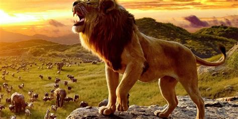 Mufasa The Lion King Plot Details And Release Date Revealed